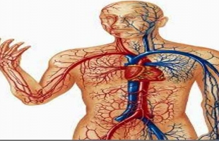 علامات مبكرة وإسعافات أولية لمريض الجلطة