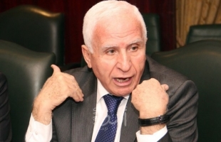 الأحمد: تشكيل لجنتين للعمل على حشد دولي ضد حرب الإبادة ومن أجل بدء حوار وطني