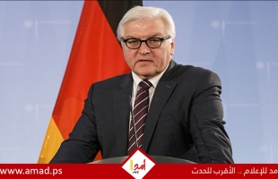 شتاينماير: الديمقراطية الألمانية تواجه أخطر تهديد منذ الوحدة