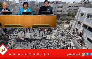 لجنة أممية: العالم ملزم بإنهاء الاحتلال الإسرائيلي لفلسطين