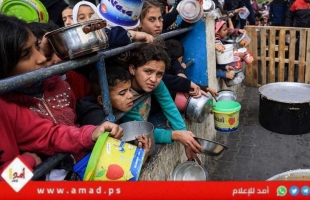 لامي: أشعر بالاشمئزاز من استهداف أطفال غزة وهم يمدون أيديهم للحصول على الطعام