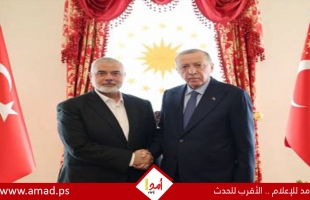 أردوغان يناقش مع هنية جهود التوصل لوقف إطلاق نار في غزة