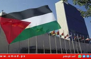 المجموعة العربية في الأمم المتحدة تدعو إلى منح دولة فلسطين العضوية الكاملة
