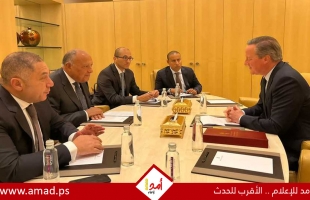 وزير خارجية مصر يؤكد أهمية التحرك الدولى لتحقيق الوقف الفورى لإطلاق النار فى غزة