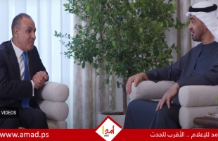 الرئيس الإماراتي ووزير الخارجية المصري يبحثان جهود وقف إطلاق النار في غزة - فيديو