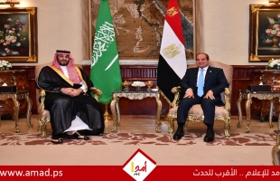 بيان مصري سعودي: نشدد على ضرورة السعي لهدنة مستدامة ووقف دائم لإطلاق النار