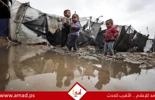 الصحة: غزة على حافة تفشي الأوبئة مع تصاعد خطر القوارض