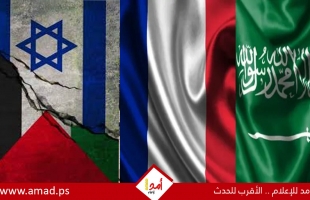 "بلومبيرغ": ألمانيا قررت دعم مقترح تقوده فرنسا والسعودية لحل الدولتين