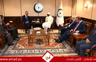 بيان عربي إسلامي إفريقي مشترك يدعو إلى اتخاذ إجراءات لمساءلة  دولة الاحتلال عن جميع جرائمها