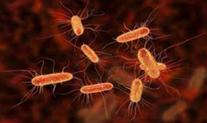 علامات مبكرة تكشف عدوى جرثومة المعدة.. لا تتجاهلها