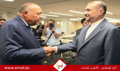 شكري يبحث مع عبد اللهيان جهود مصر للتوصل لوقف إطلاق نار فى غزة - تفاصيل