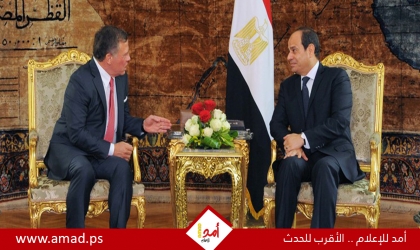 السيسي والملك عبدالله يؤكدان رفضهما تصفية القضية الفلسطينية وضرورة وقف إطلاق النار في غزة