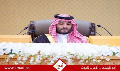 ولي العهد السعودي بن سلمان: "على المجتمع الدولي إنهاء الكارثة في فلسطين"