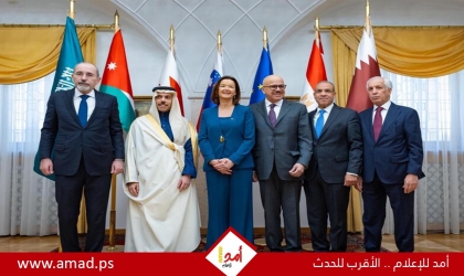 5 دول عربية تصدر بيانا مع سلوفينيا بشأن الأوضاع في غزة