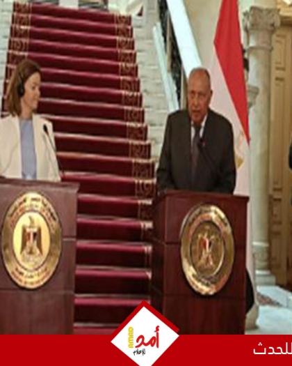 وزير خارجية مصر يوضح حقيقة خرق معاهدة السلام المصرية – الإسرائيلية