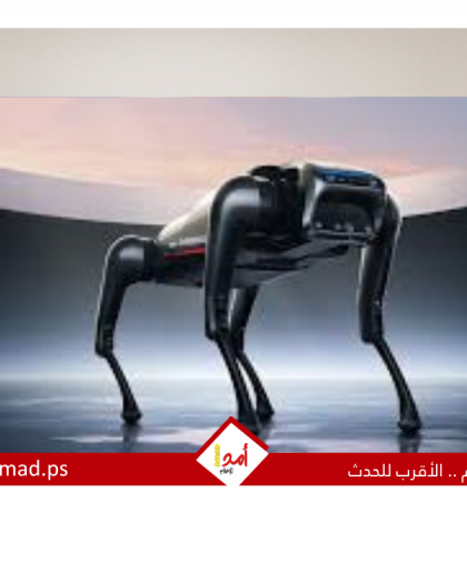 كلب آلى يتحدث ويرشد المكفوفين.. ثورة جديدة بالذكاء الاصطناعى